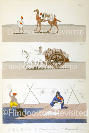 /data/Original Prints/Miscellaneous/A CAMEL DRIVER - A BULLOCK DRIVER - A WASHERMAN AND WOMAN.jpg